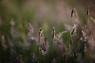 NES和SNES设计师从任天堂退休 曾在职近40年